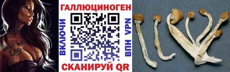 Галлюциногенные грибы Cubensis  Тында 
